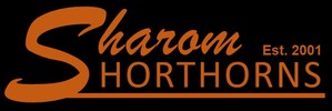 Sharom Shorthorns